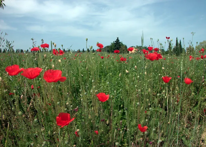 Фермерский дом Le Magnolie